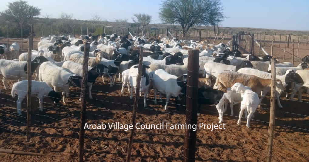 First Responsive Image